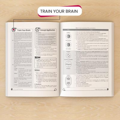 PW YAKEEN for NEET Exam - Droppers Complete Study Material Physics, Chemistry, Botany & Zoology - Image 5